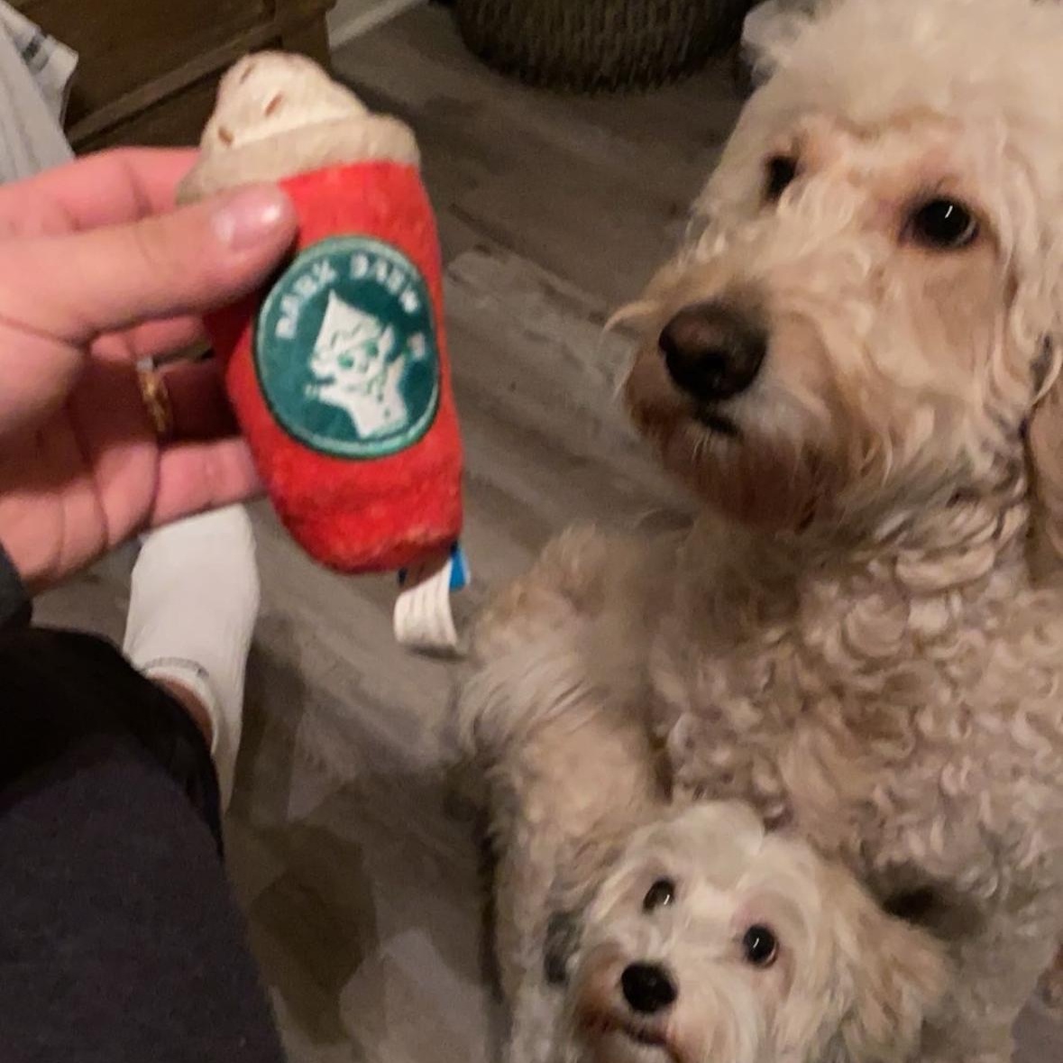 Daisy And Milo thumbnail 4