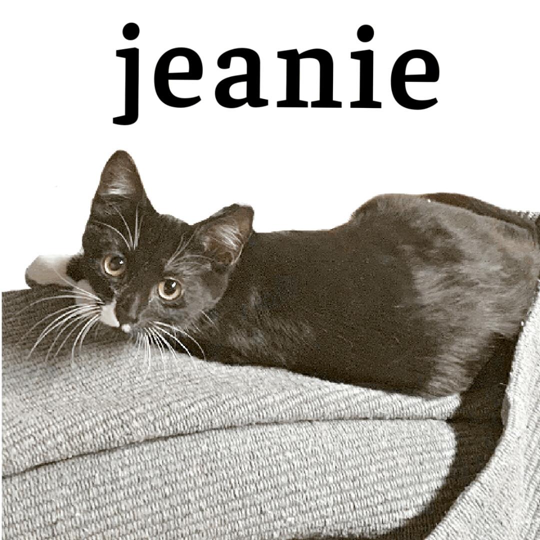 Jeanie