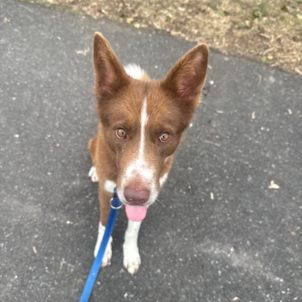 Ember — thumbnail 4