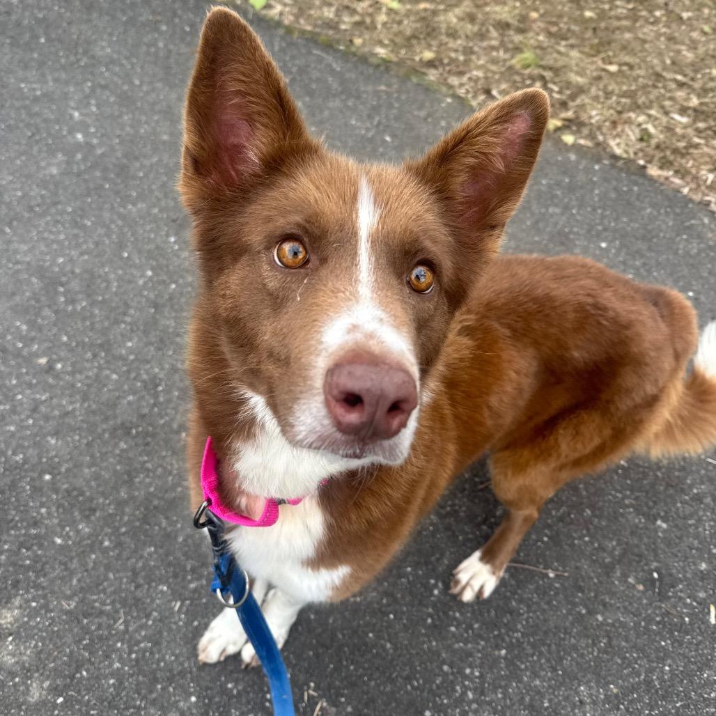 Ember — thumbnail 5