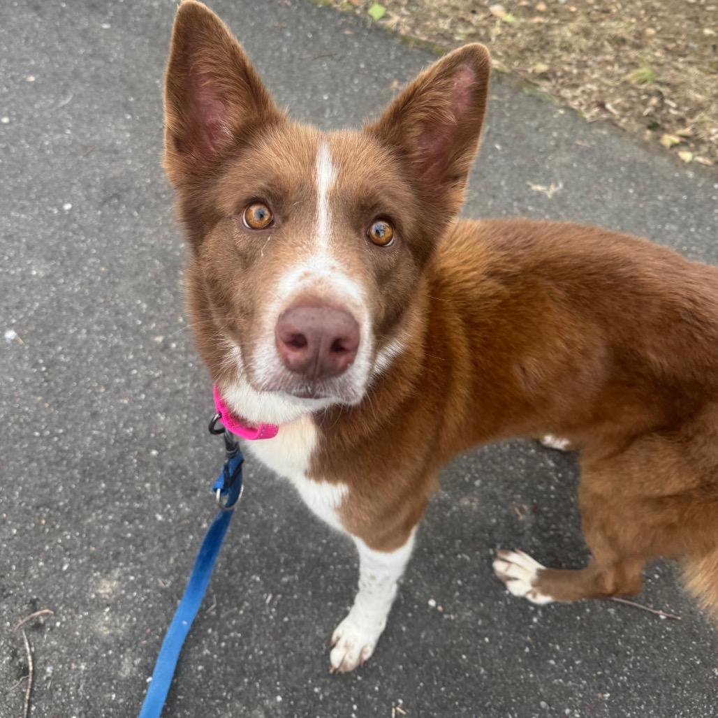 Ember — thumbnail 6