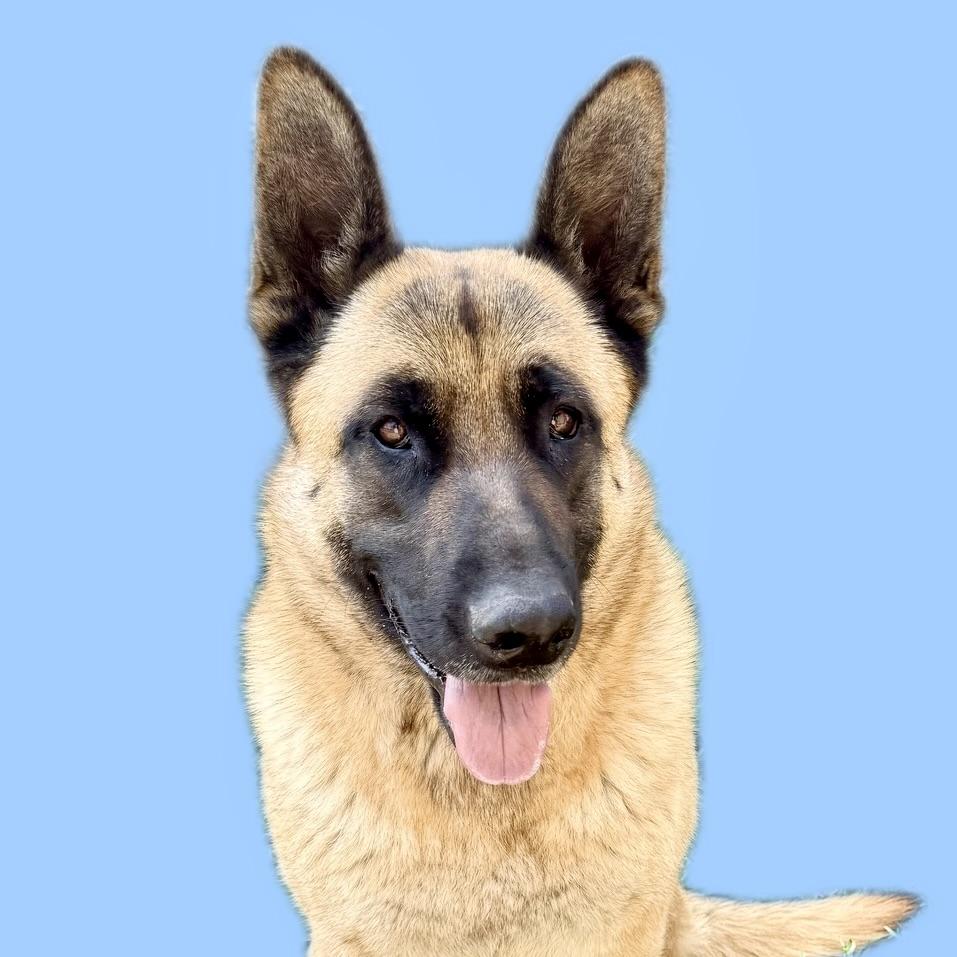 Zeus photo 1