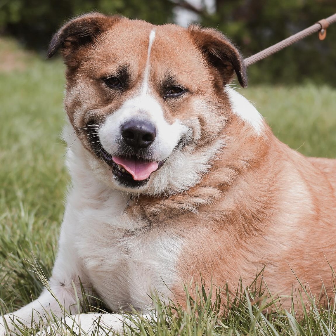 *Whiskey & Brewski (Bonded Pair)