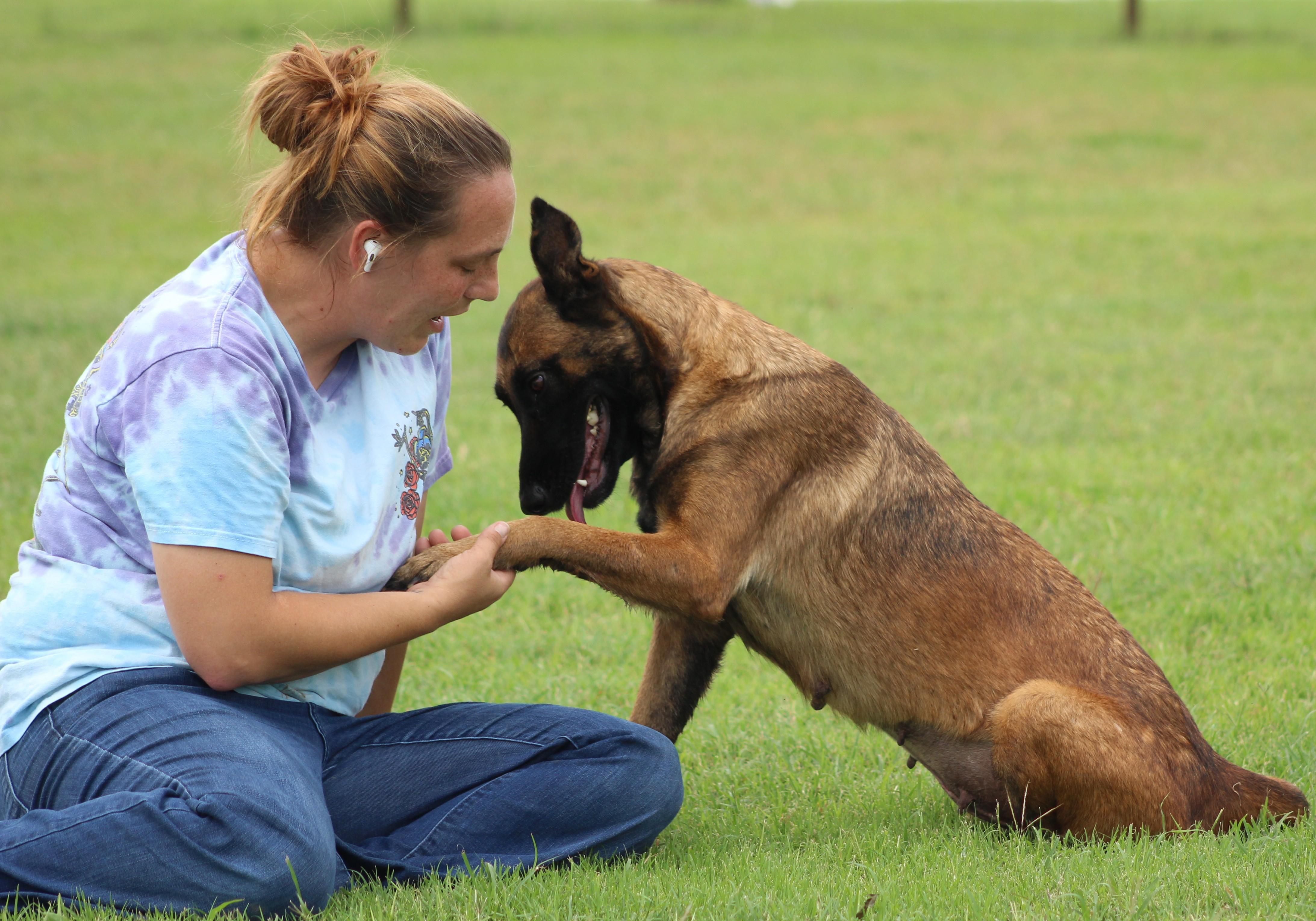 Valley, a ADOPTABLE mixed breed in Temple, TX image 5/6