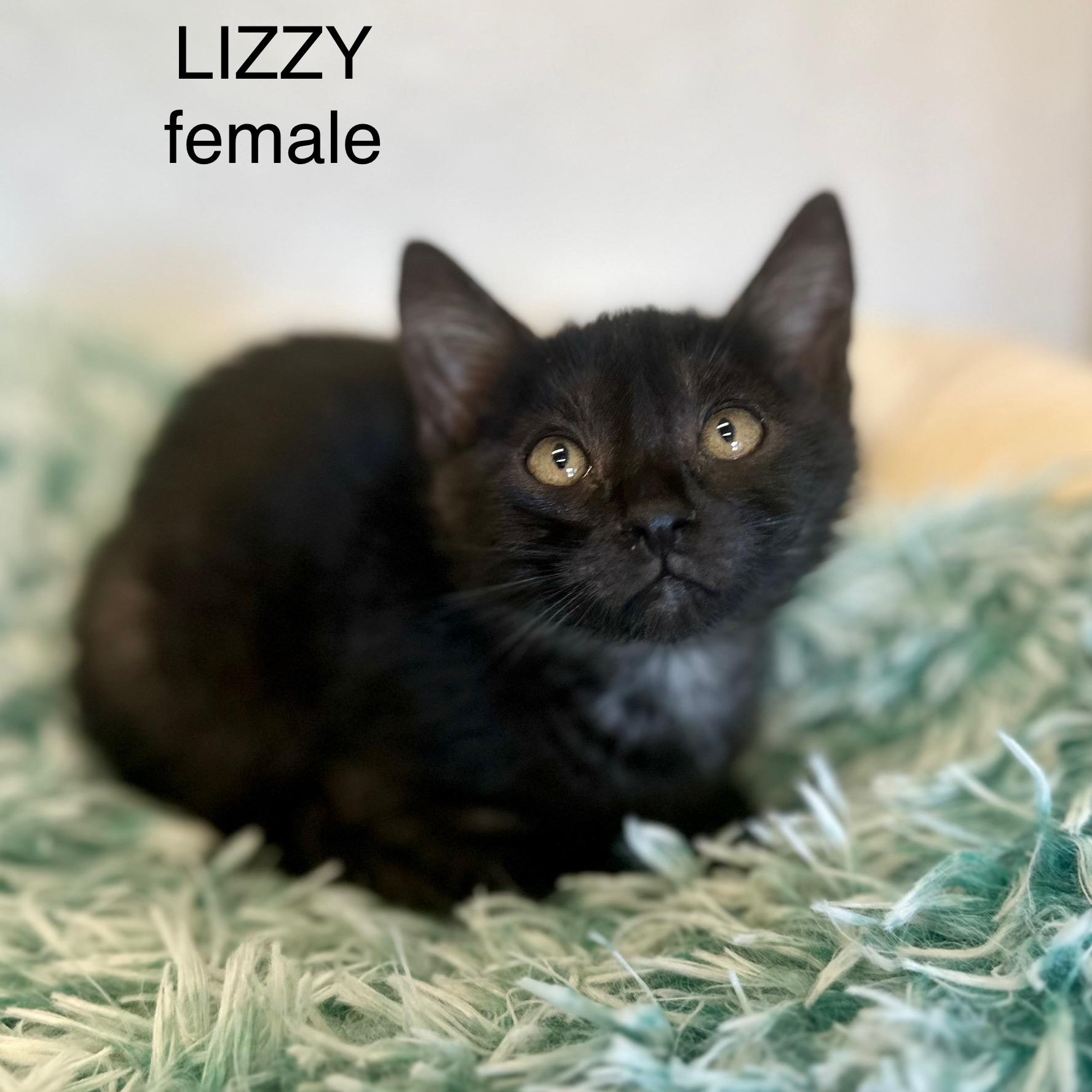 Lizzy