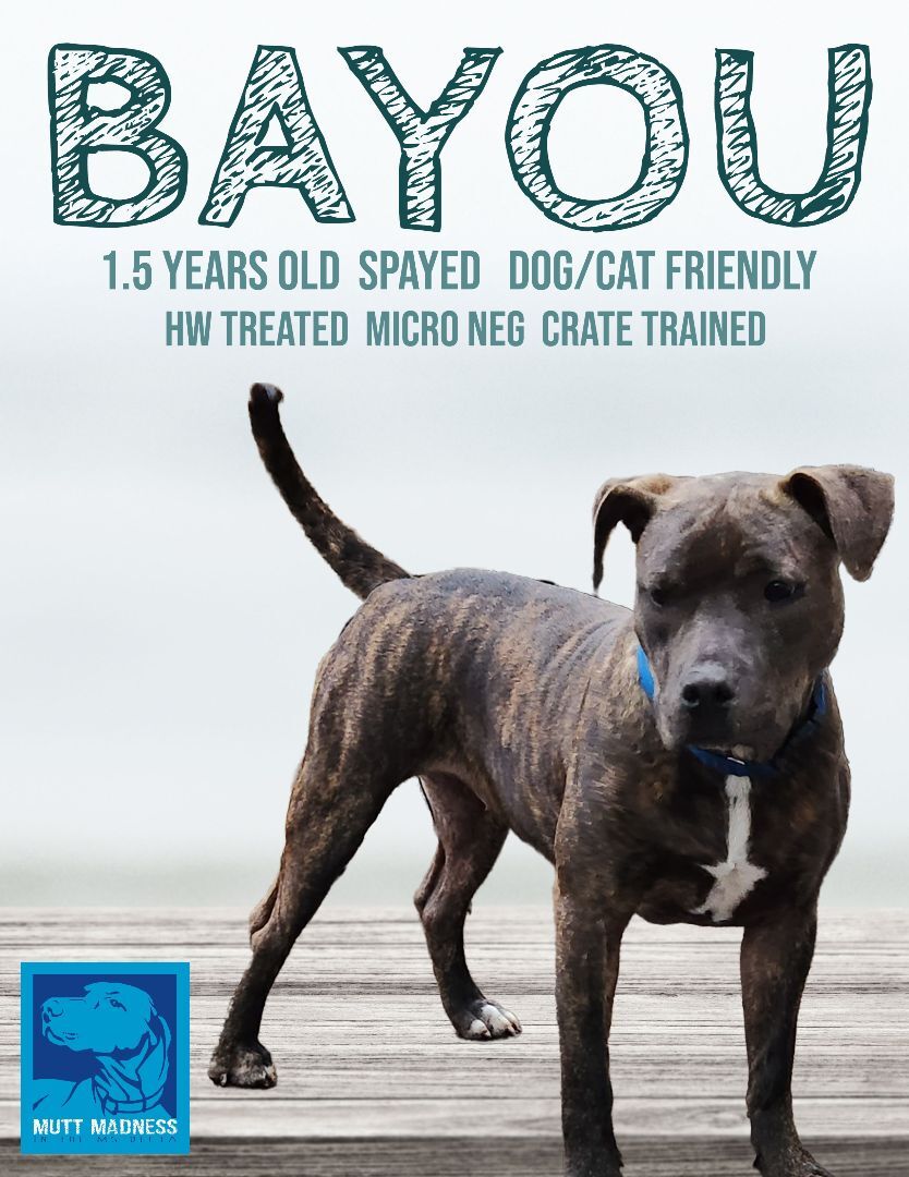 Bayou