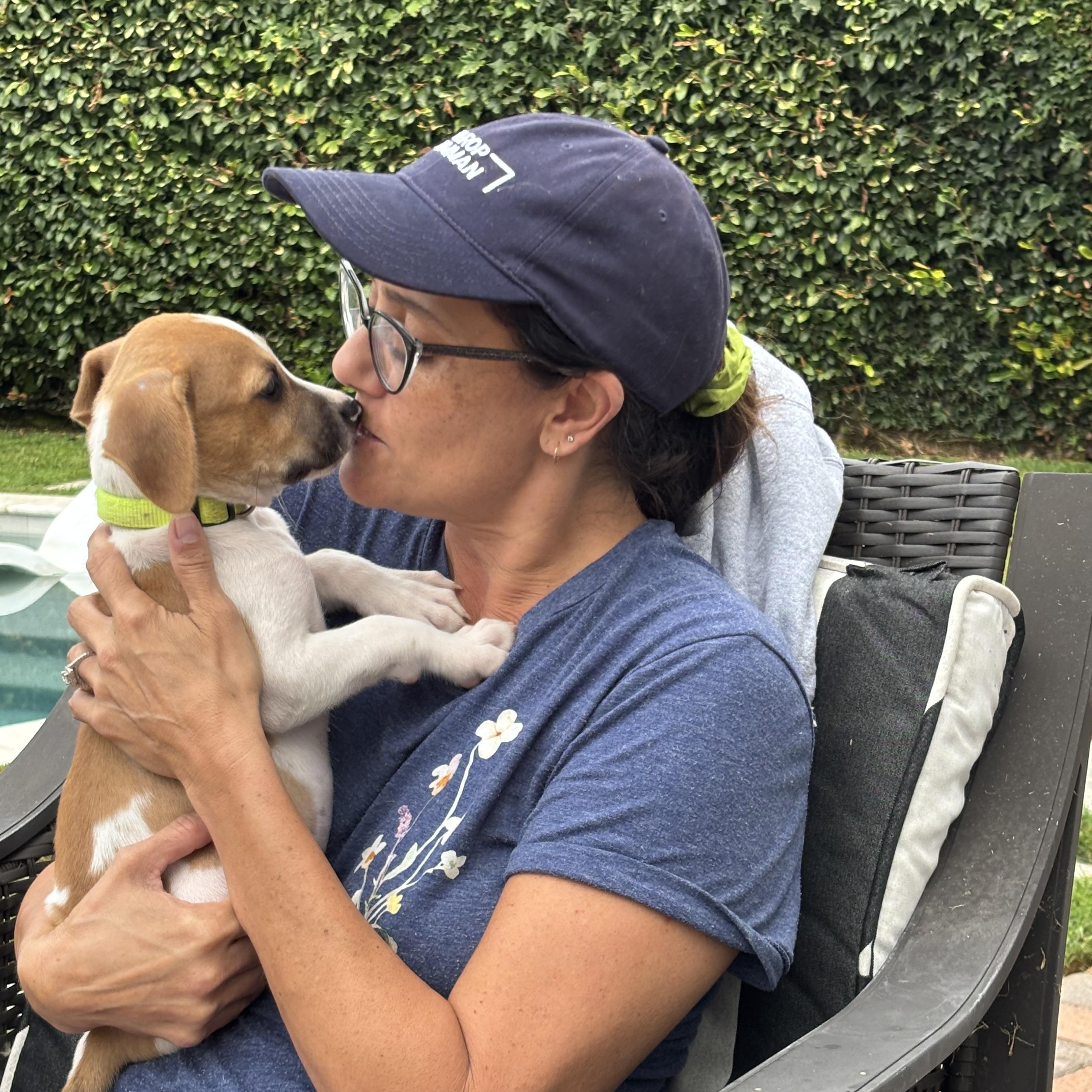 Enlarge George, a Adopted mixed breed in Torrance, CA image 5/5