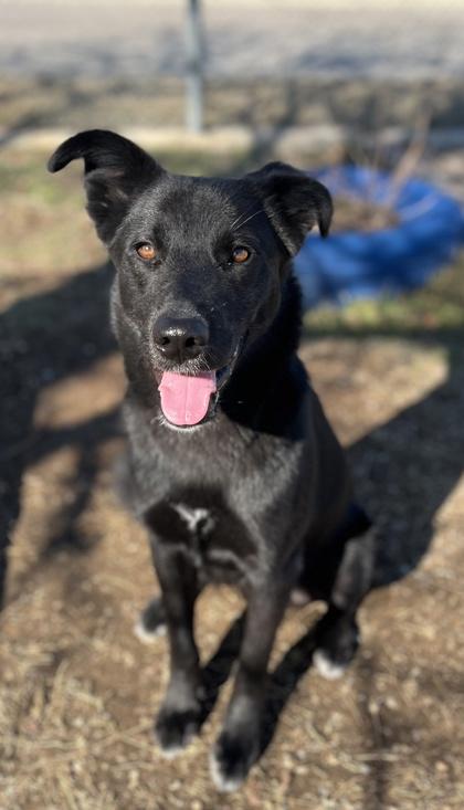 Randy — thumbnail 2