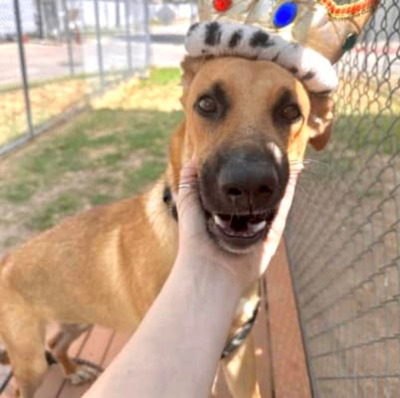 Botas — thumbnail 5