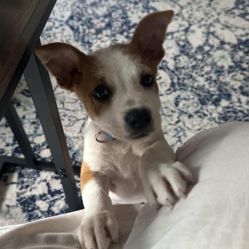 Luna Marie MM