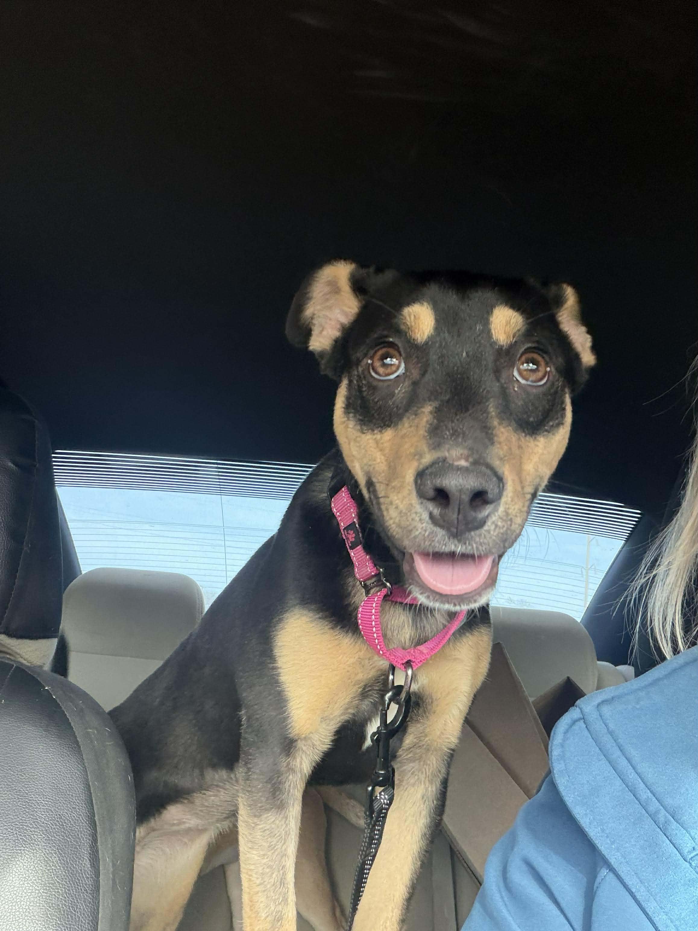 Trina    thumbnail 6