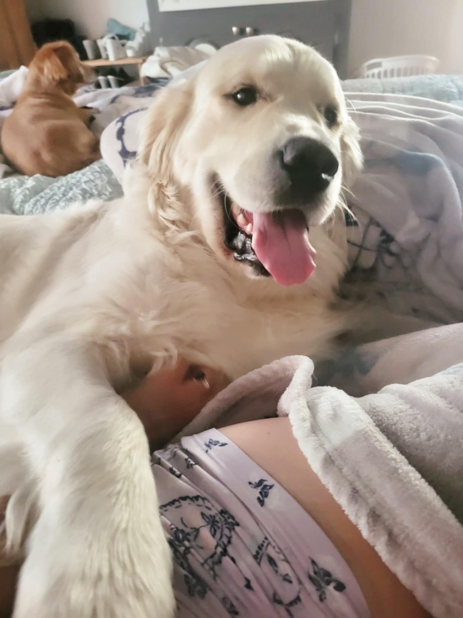 Buddy 3