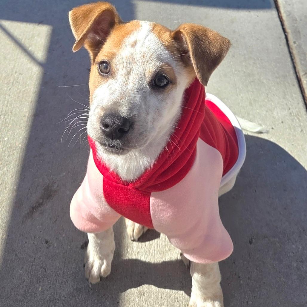 Luca Loverboy thumbnail 2