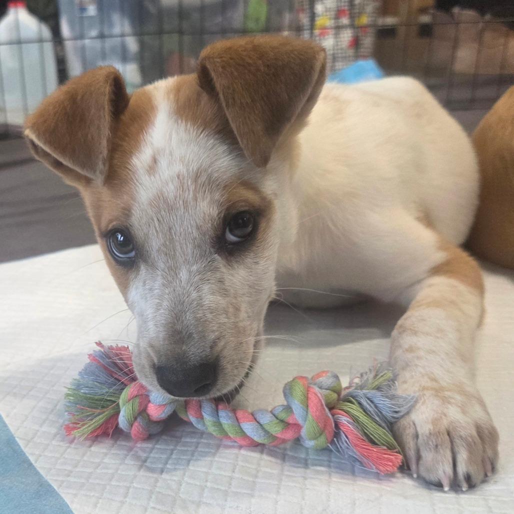 Luca Loverboy thumbnail 5