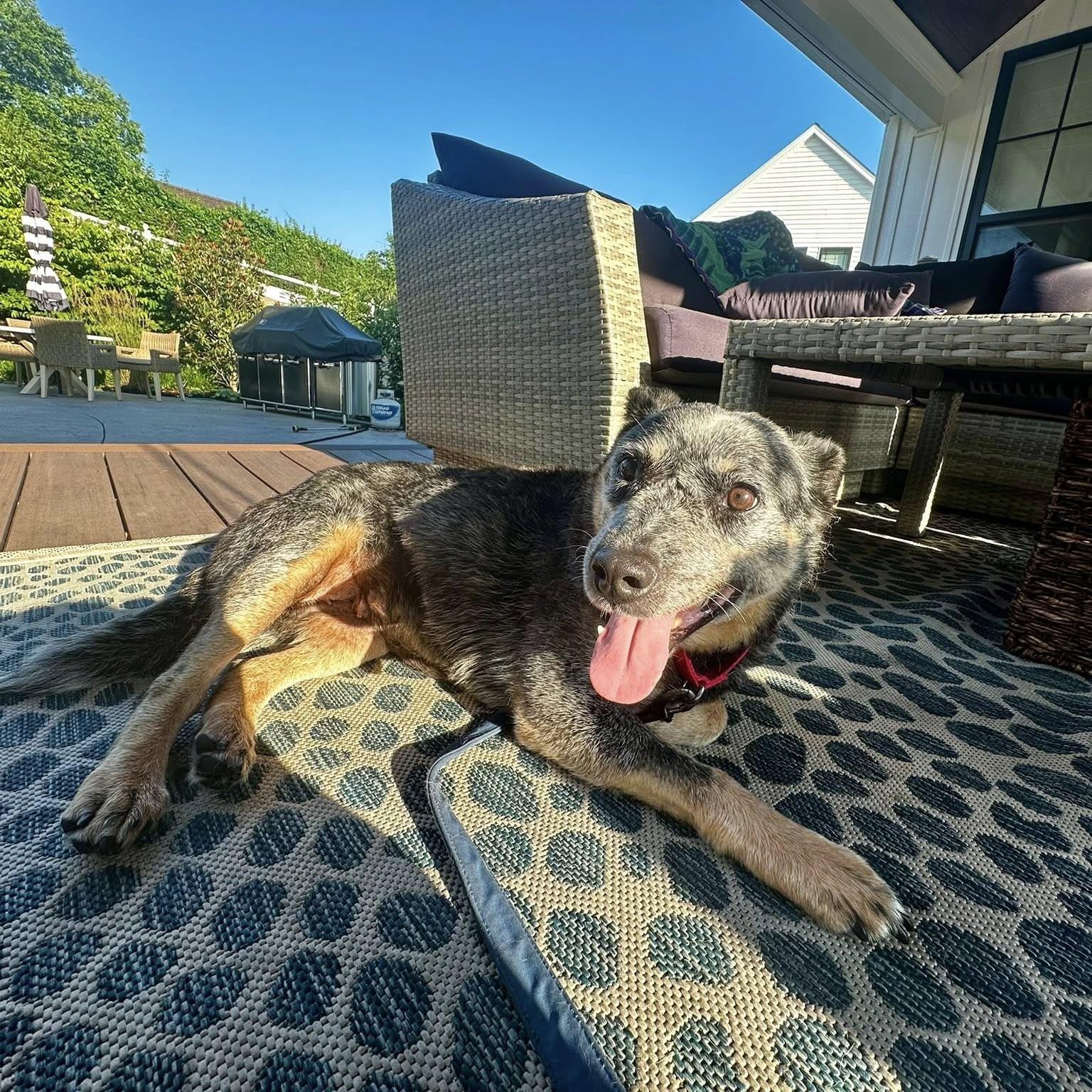 Gia