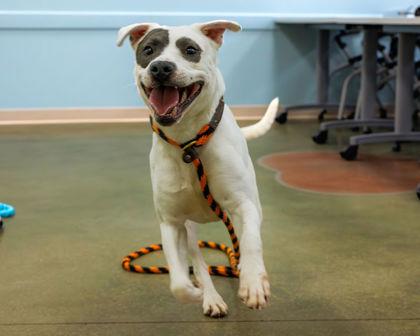 Tate — thumbnail 3