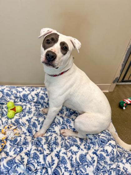 Tate — thumbnail 5