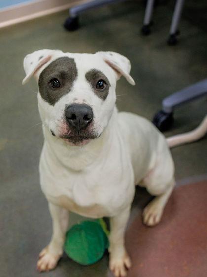 Tate — thumbnail 6