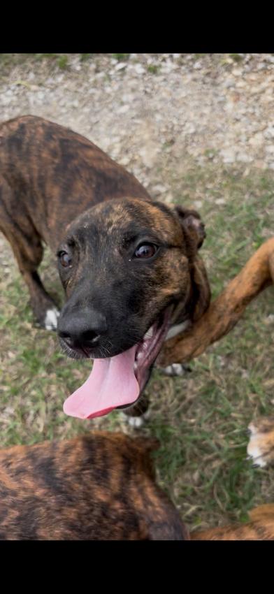 Midnight — thumbnail 2