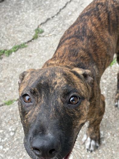 Midnight — thumbnail 6