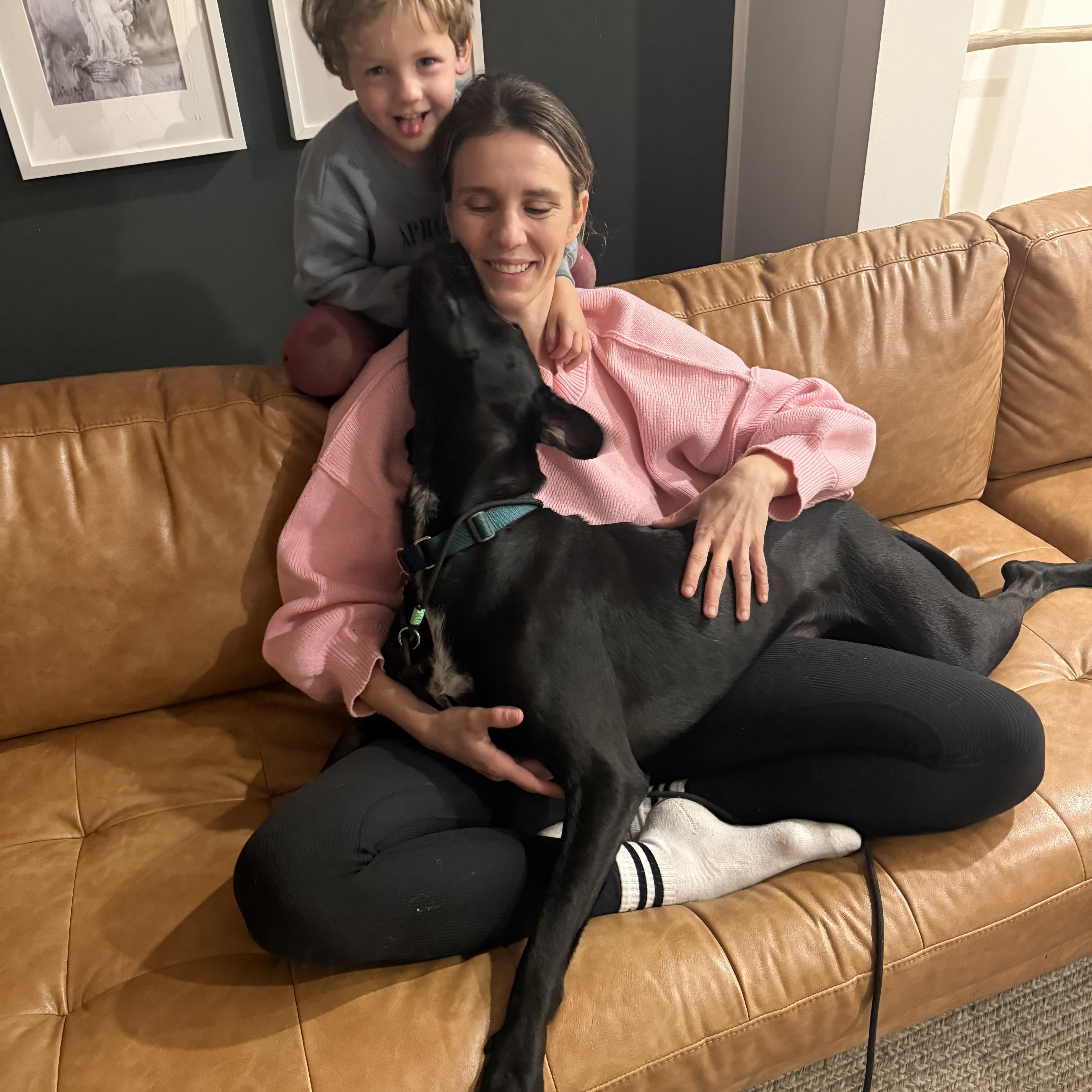 Enlarge Nueve, an adopted mixed breed in Los Angeles, CA image 4/6