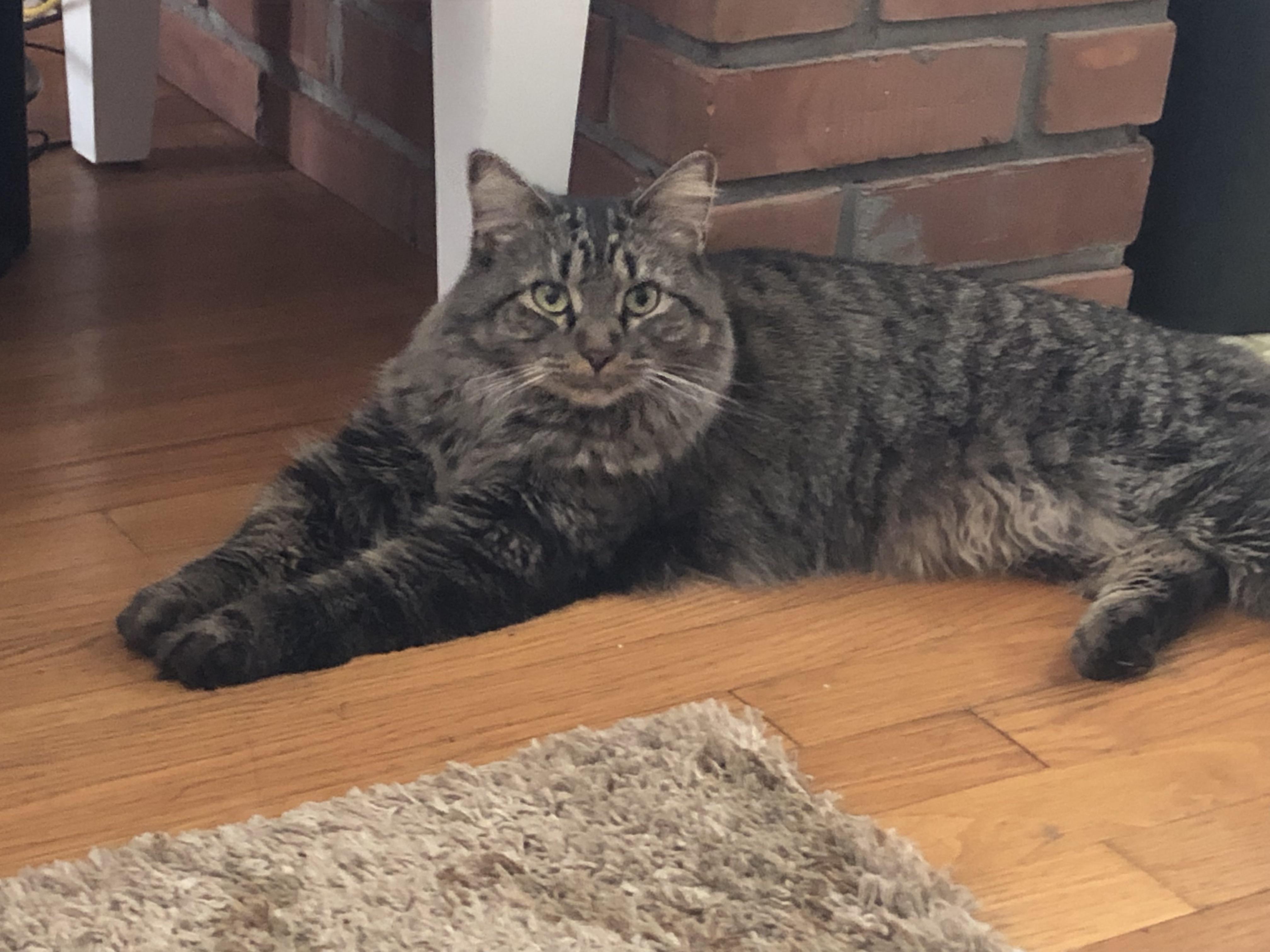 Delaney & Hermione (friendly bonded sisters)