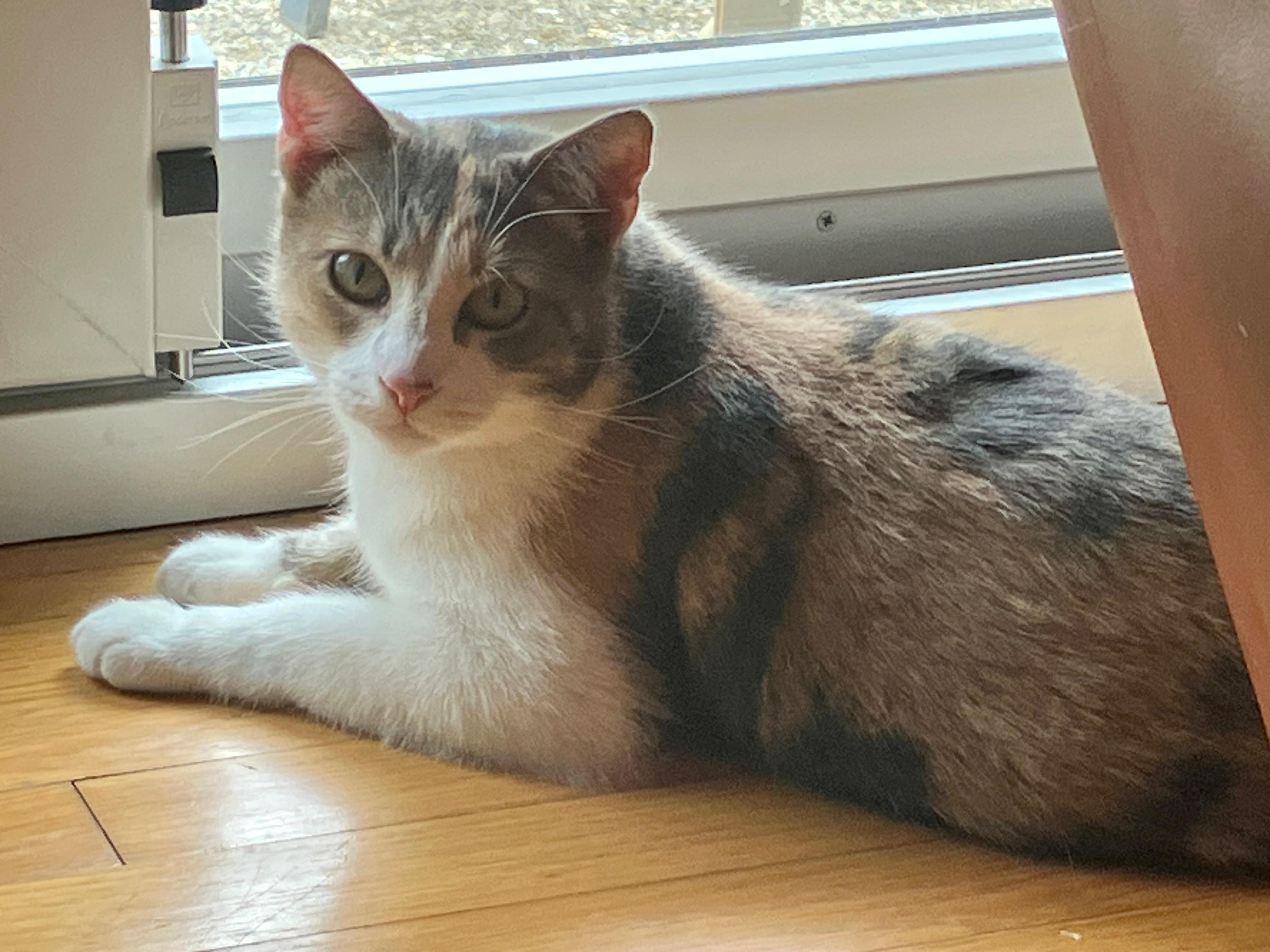 Delaney & Hermione (friendly bonded sisters)