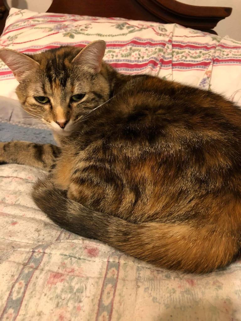 Kelsey — thumbnail 4