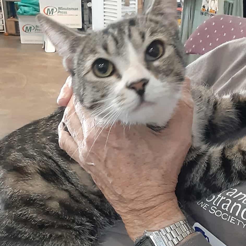 Grinch- bonded to Seven