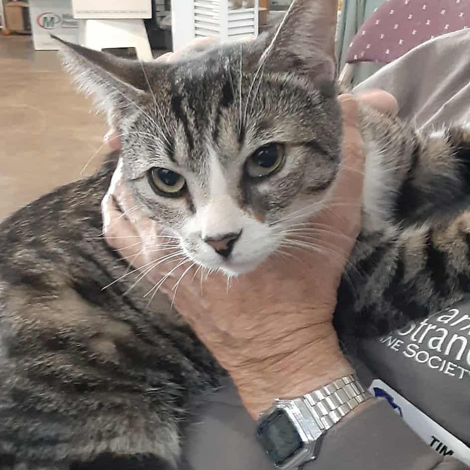 Grinch- bonded to Seven