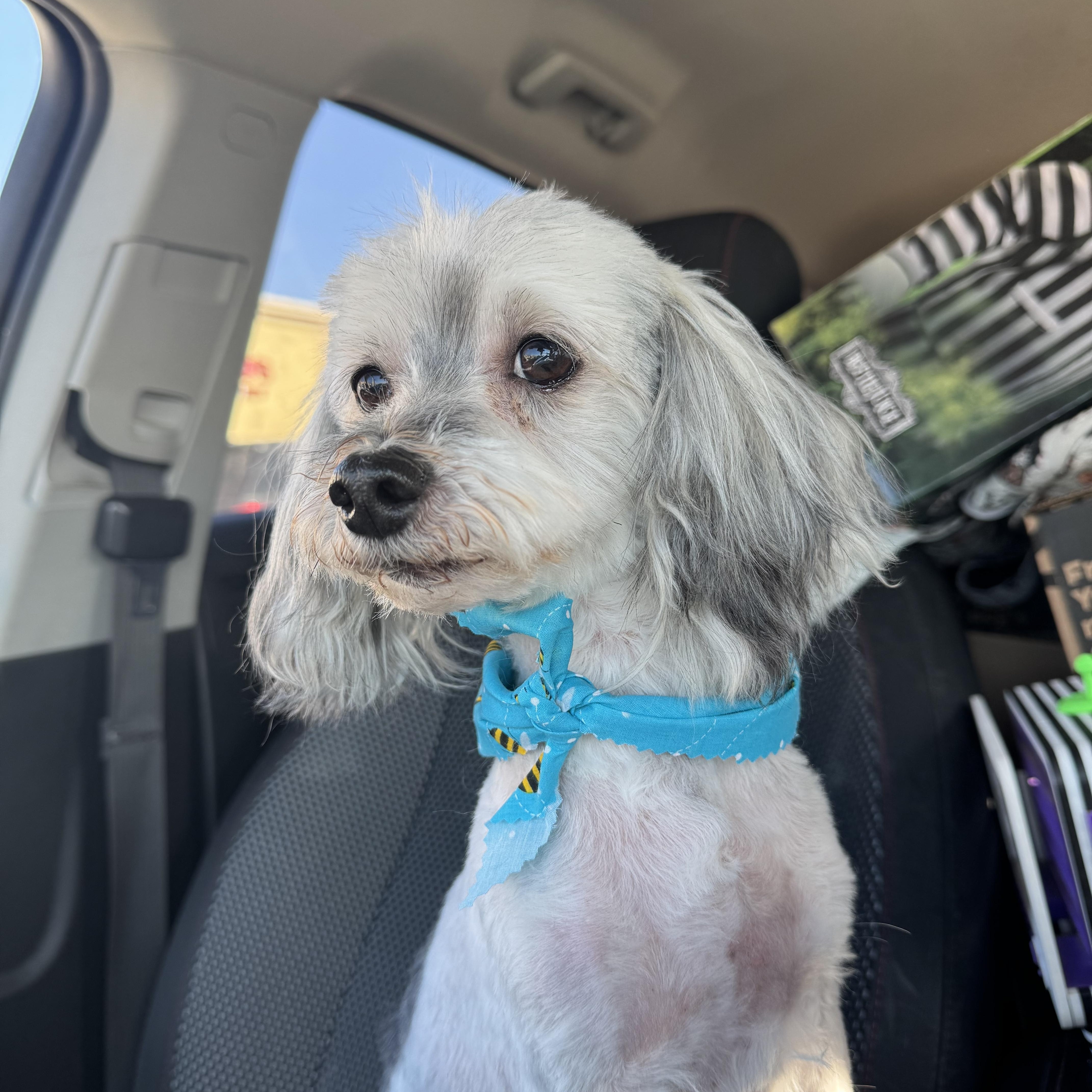 Howard! Sweet affectionate guy.