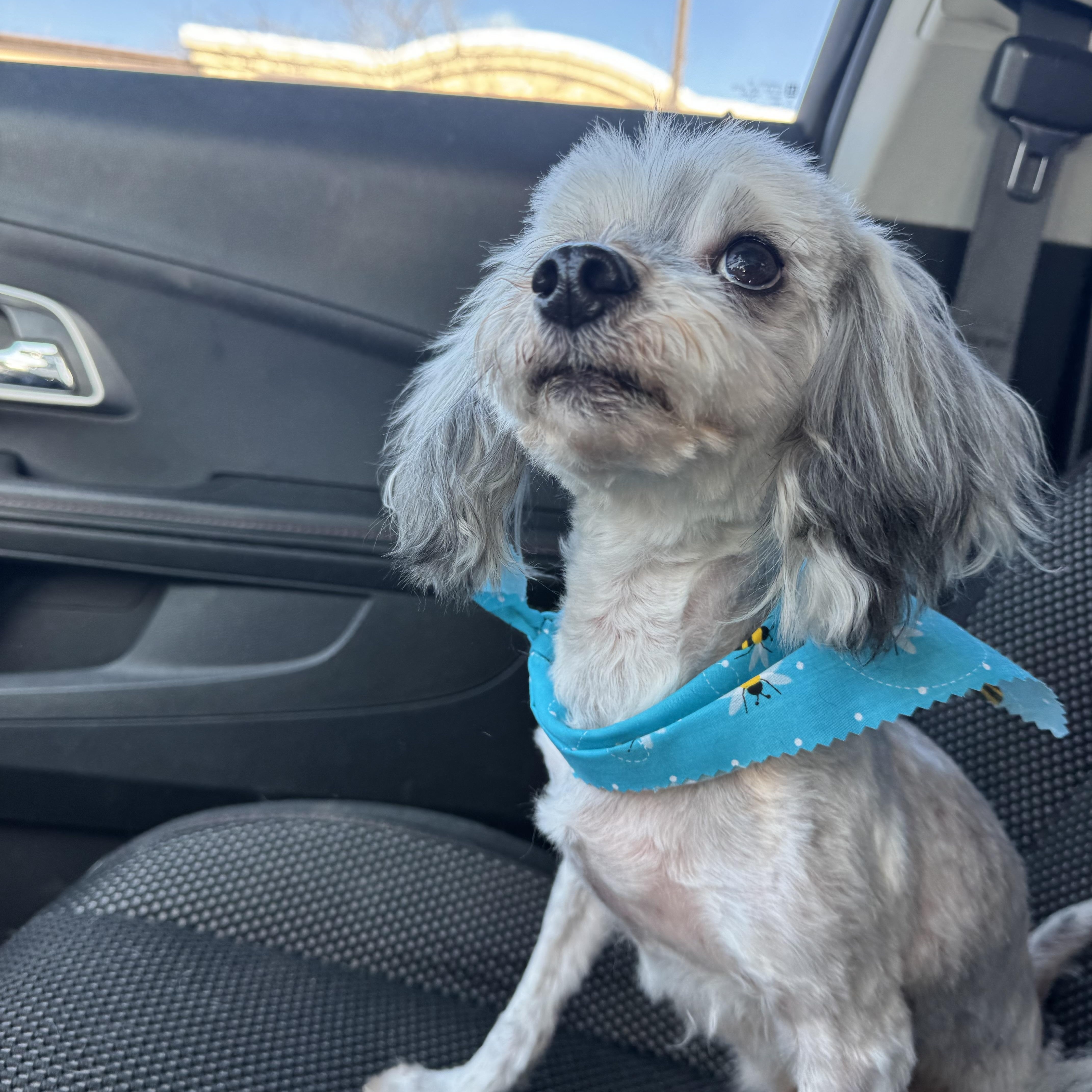 Howard! Sweet affectionate guy. — thumbnail 2