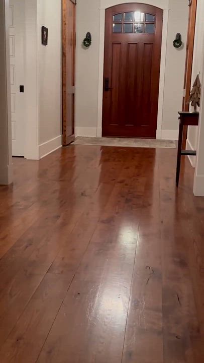 Enlarge Achilles, a Adoptable mixed breed in Argyle, NY video 4/6