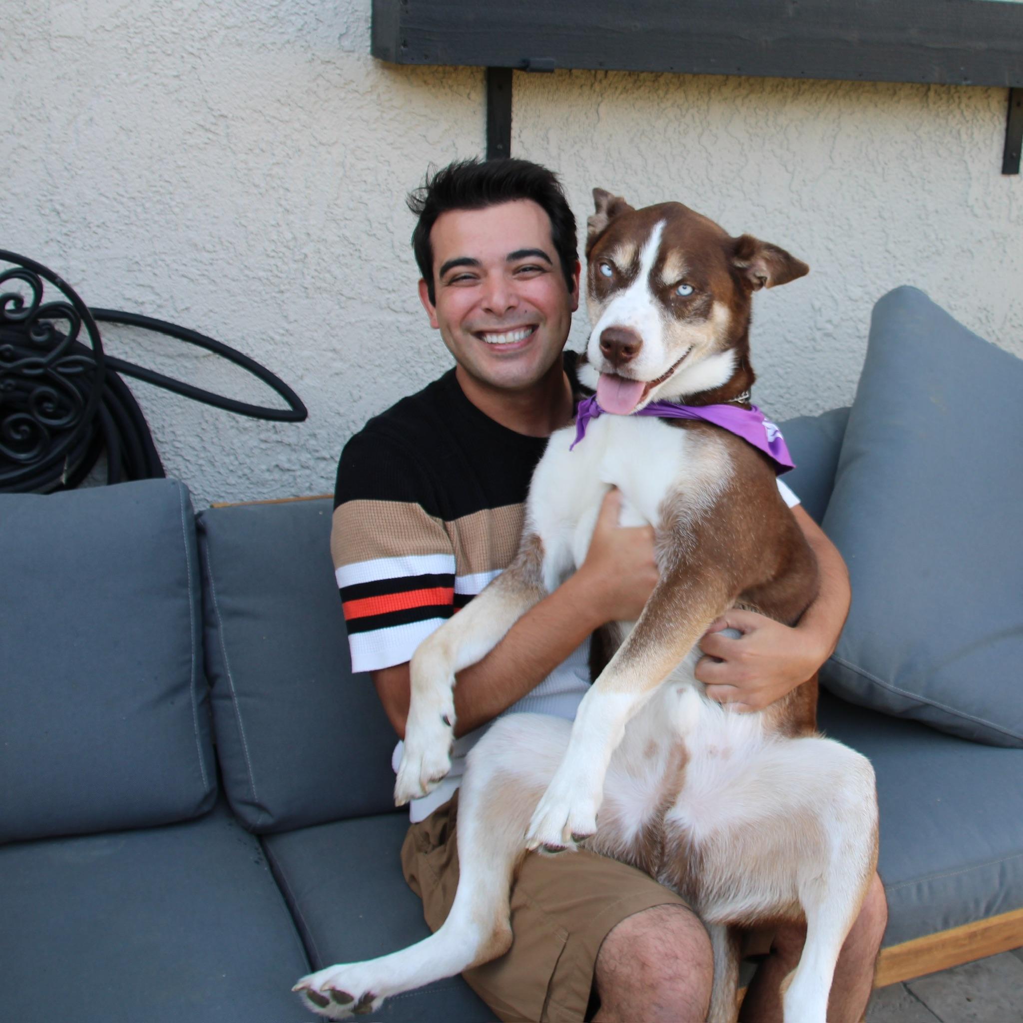 Enlarge Rio, a Adoptable Shepherd in santa monica, CA image 4/6