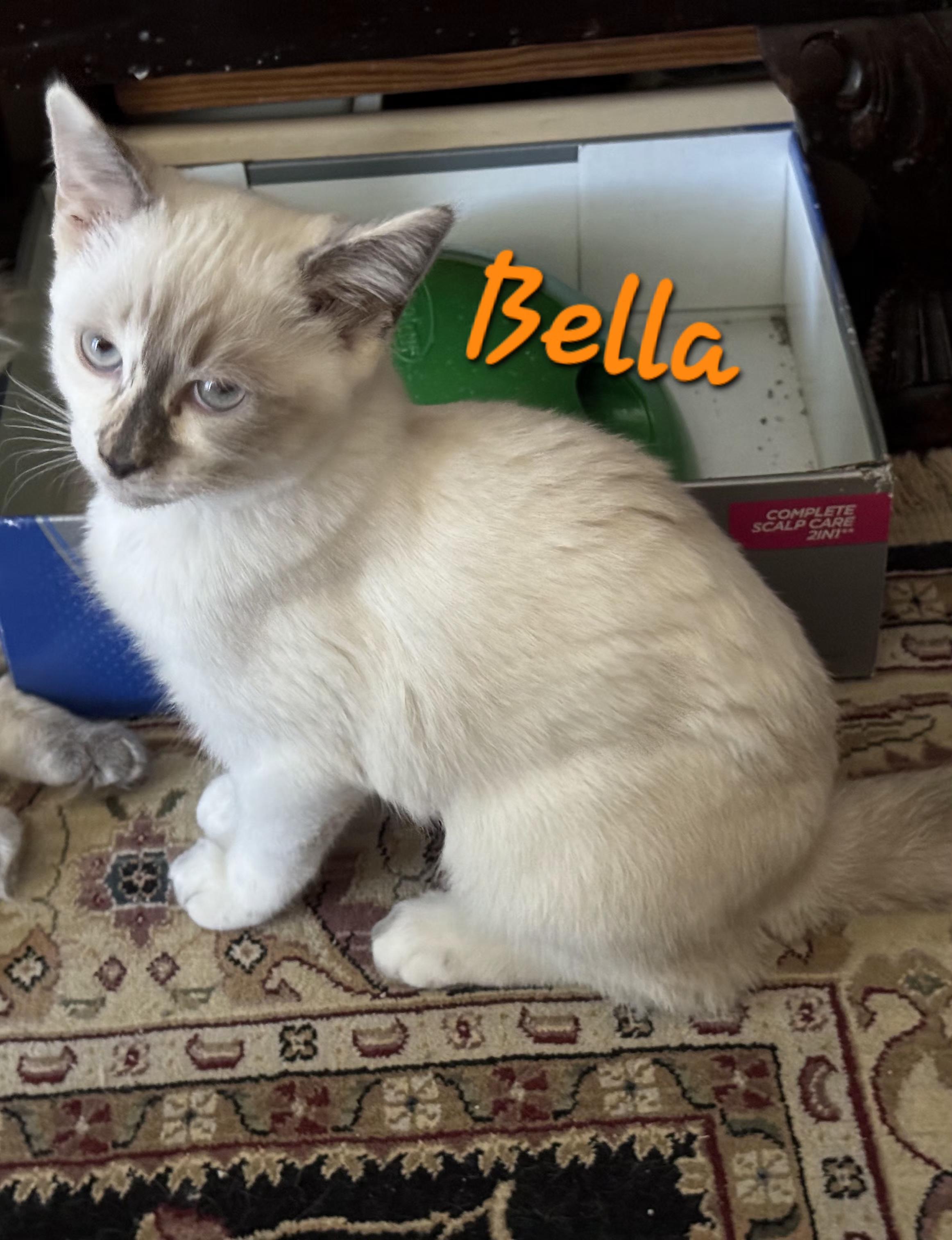 Bella