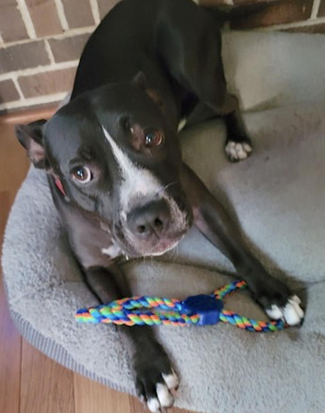 Daisy — thumbnail 3