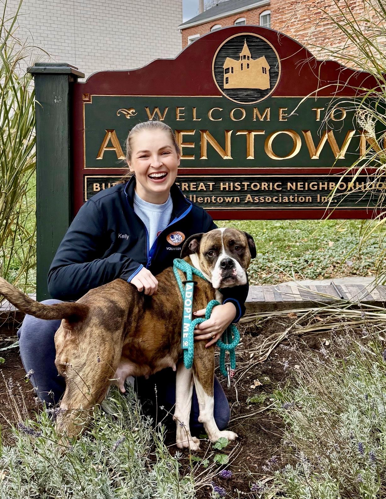 Peanut Brittle, a Adoptable mixed breed in Buffalo, NY image 5/6