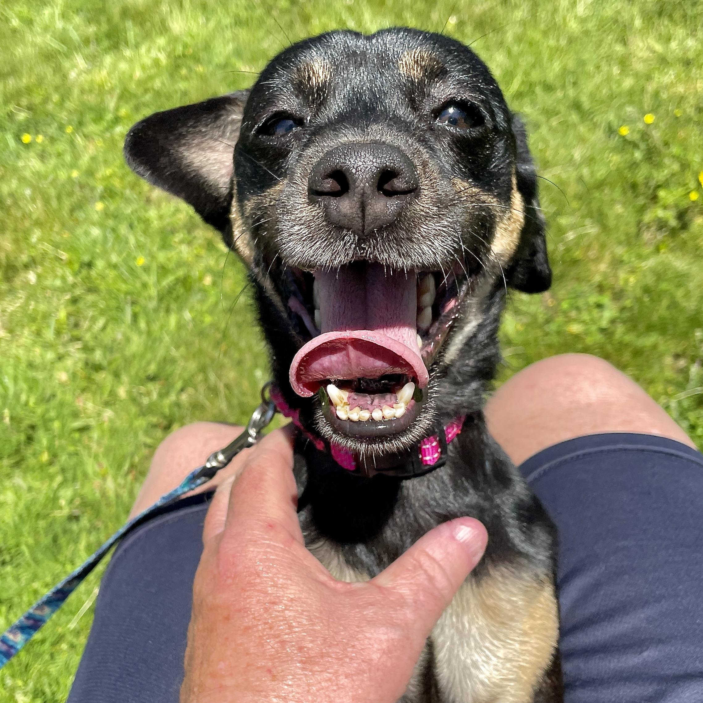 Molly