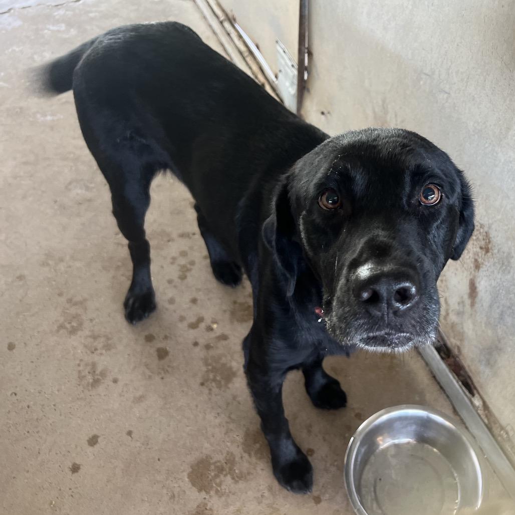 Blue — thumbnail 2