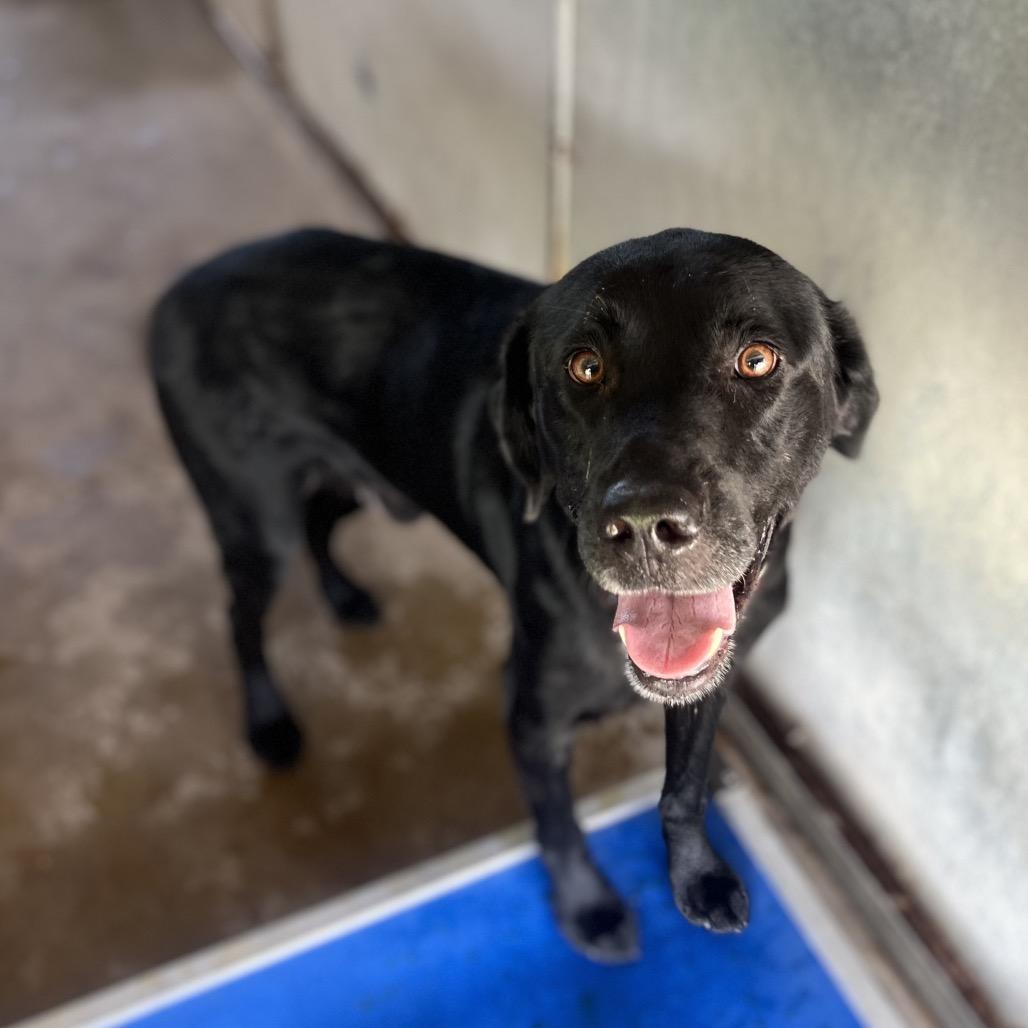 Blue — thumbnail 3