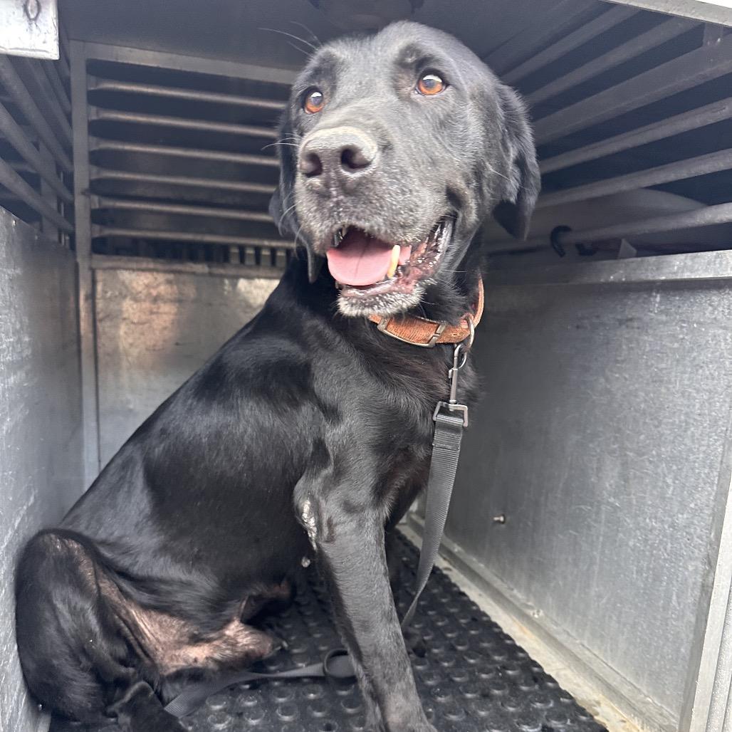 Blue — thumbnail 4