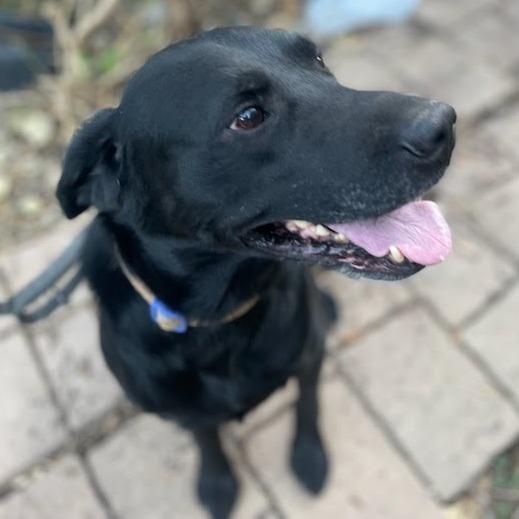 Blue — thumbnail 5