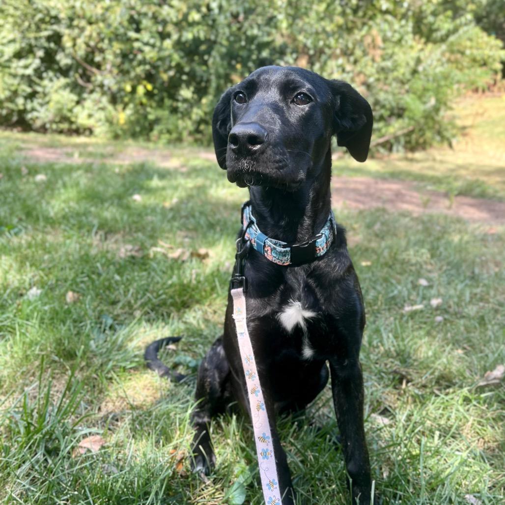 The Magnificent Seven Nyx thumbnail 2