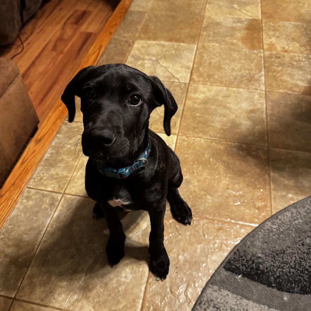 The Magnificent Seven Nyx thumbnail 6