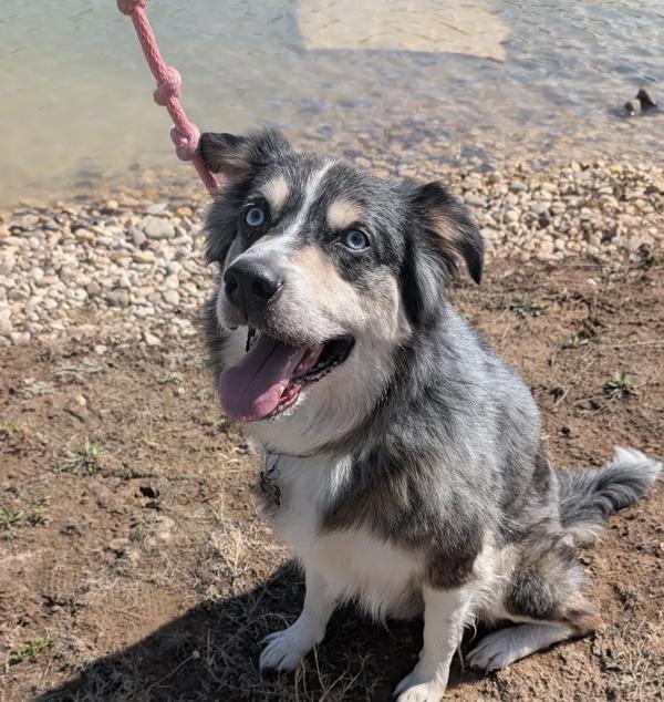 Oliver — thumbnail 2