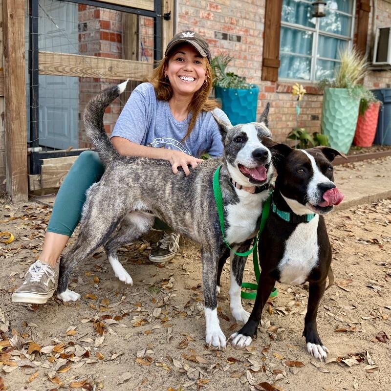 Molly the Itty Bitty Pittie