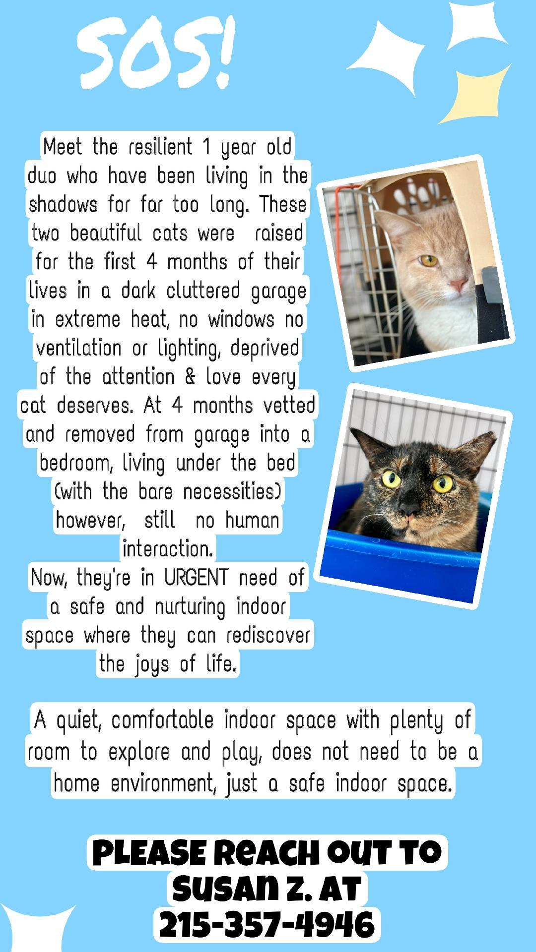 Shadow & Freddie (Willow Grove, PA)