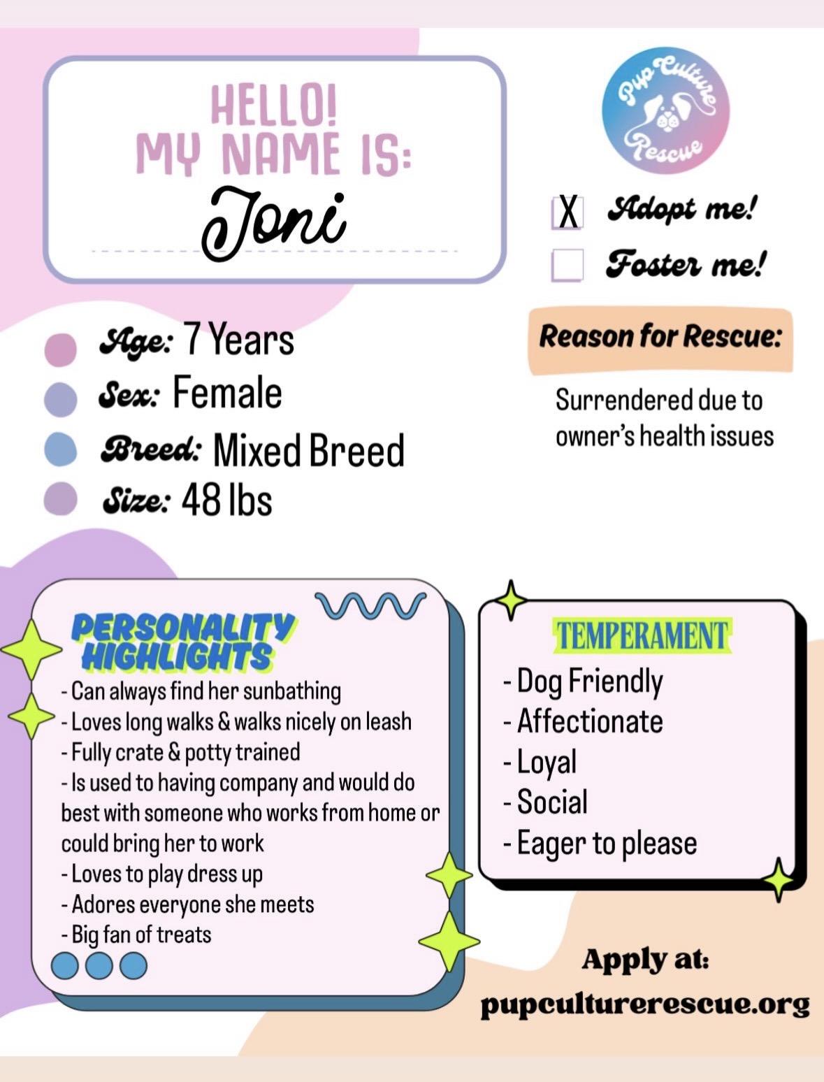 Enlarge Joni, a ADOPTABLE mixed breed in Pasadena, CA image 2/4