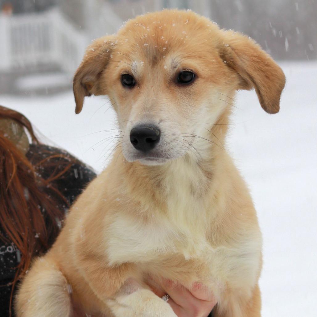 Ct Elaine thumbnail 2