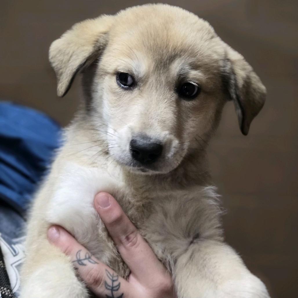 Ct Elaine thumbnail 3